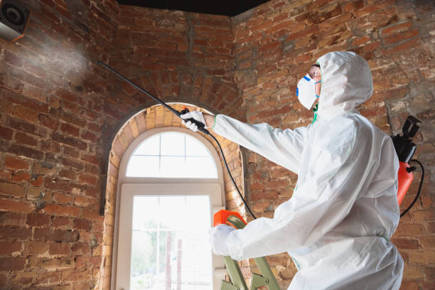 Best Comprehensive Air Testing for Mold Contaminants  in Loveland, OH